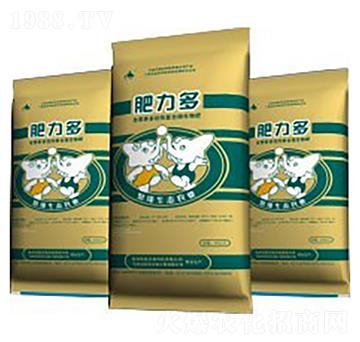 �Z�ǌ�(zhu��n)����-������1̖(h��o)-��������