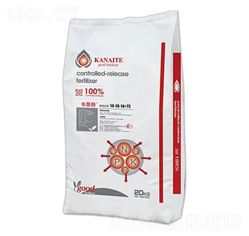 �����ؾ��ʿ�ጷ�14-14-14+TE-�Ƃ��d��