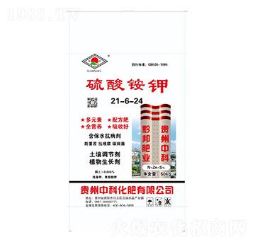 �����@�21-6-24-�пƻ���