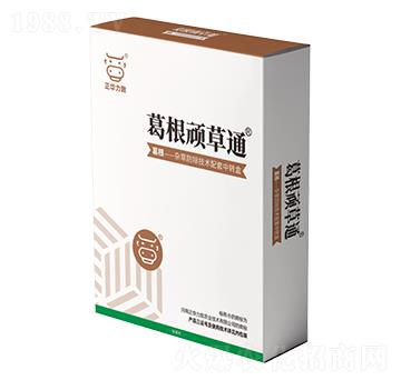 ����B��ͨ-���A����