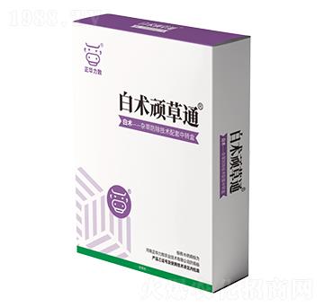 ���g�B��ͨ-���A����