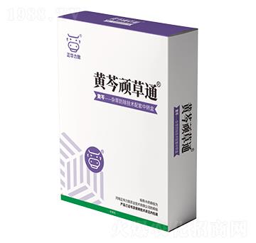 �S���B��ͨ-���A����