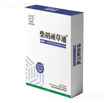 ����B��ͨ-���A����