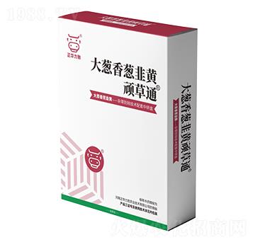 ���[�����[�����S�B��ͨ-���A����