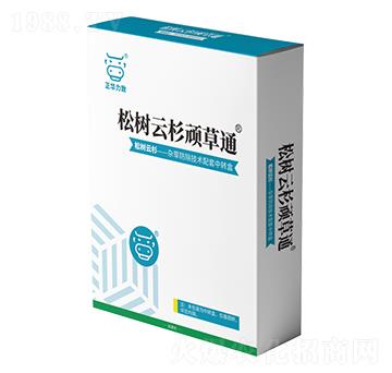 �ɘ���ɼ�B��ͨ-���A����