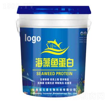 �����~����-��Ԫ̩