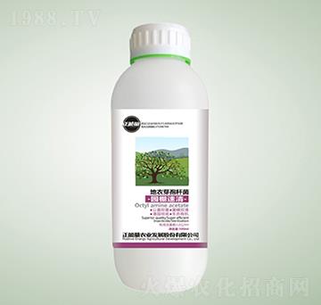 ����ѿ�ߗU����@��-�@