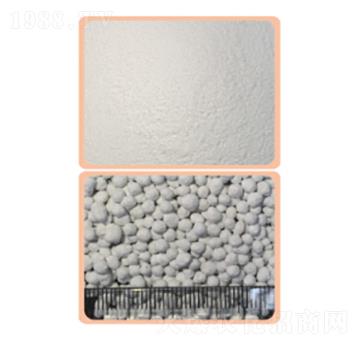 �����V��-���P����