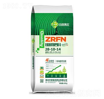 ��ጷ���28-10-14-�긣��ʢ