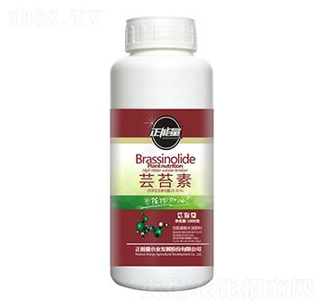 �|̦��-������