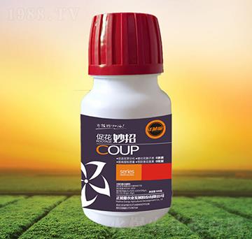 �ٻ�����-������