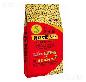 ����������l(f��)�ʹ�-�l(f��)ؔ��