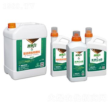 �ι��͏ͺ�΢�������-�����-��������