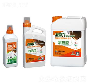 �~���͏ͺ�΢�������-�����-��������