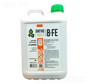 ľ�|(zh��)�ᣨ�SͰ��-�Ŭ���