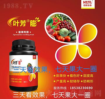 �������-�~����-�������