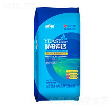 ��ĸ��}-�������