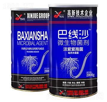 ΢�������-�;�(xi��n)ɳ-꿾�