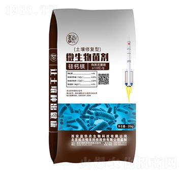 ���}�V�����ޏ̈́�-�������A