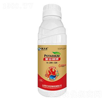 �۹����0-200-320-�P����