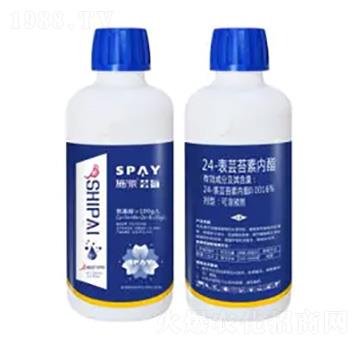 24-���|̦�؃�(n��i)֬-�|��-ʩ������