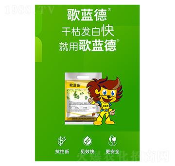 ���{��-�����A��