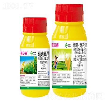 ������-���՘�