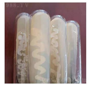 �K�ƽ�U����(bi��o)��(zh��n)����-�Ű�����