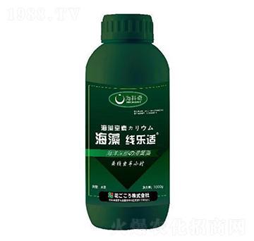 ���往���m-������