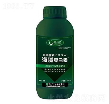 �����(f��)����-������