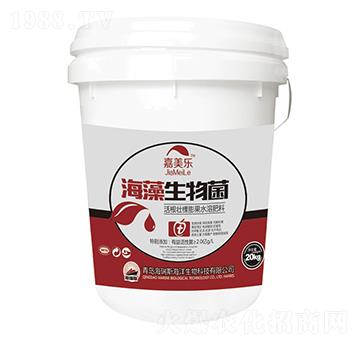 ���������-������-����˹