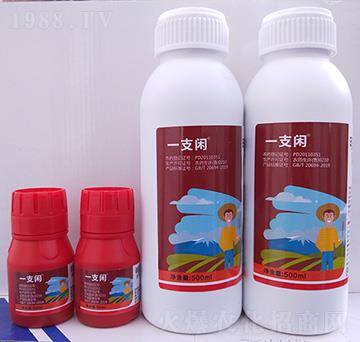 һ֧�e-�G������