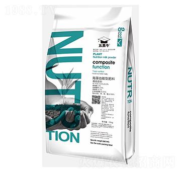 ���幦���ͷ���-���ţ-�ﲩʿ