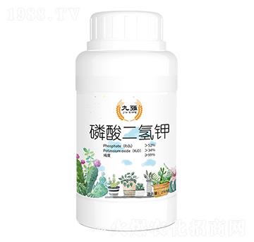 ��������-�ŏ�-����ʘI(y��)