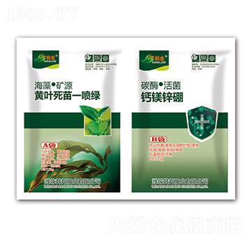 �S�~����һ���G+�}�V�\��-�n��-�n��ʘI(y��)