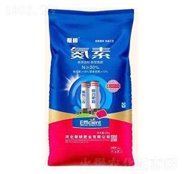 �������������͵���-����-�͸��ʘI(y��)