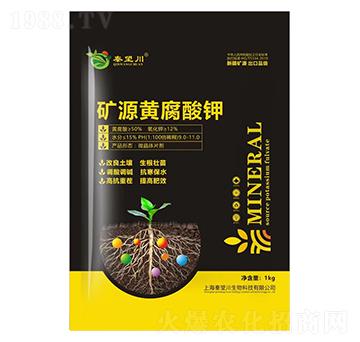 �VԴ�S�����-������