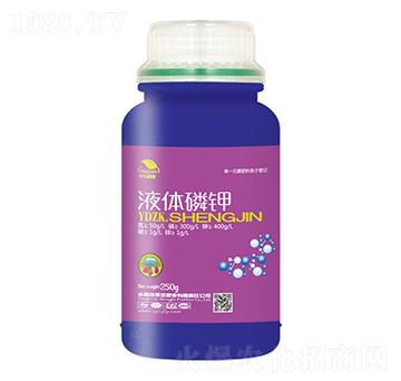 Һ�w���-��|ֲ��-ʥ��ʘI(y��)