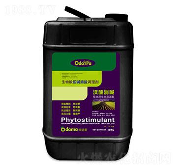 �����ቺ�A���}�{(di��o)�턩-�������A-�W����