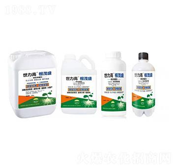 ΢�������-��ïʢ-����������