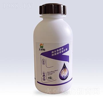 ΢���������(c��)�߶�ѿ�ߗU��-�����-��¡���