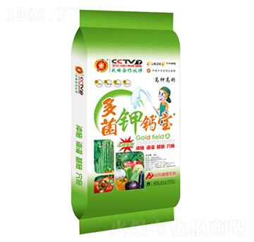 �����}��-ʢ������