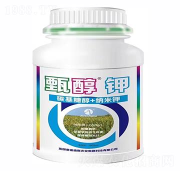 �紼�-�W�׵�˹