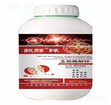 �紼�\-�W�׵�˹