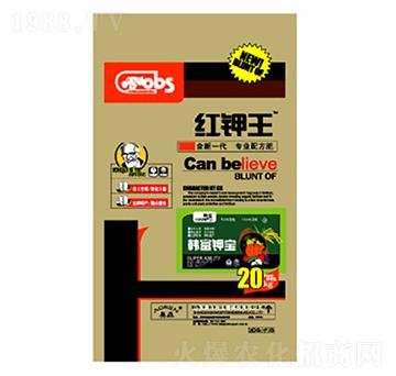 �t���-������