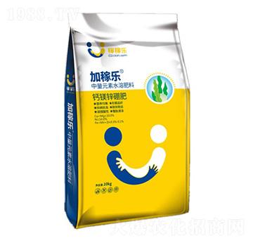 �}�V���\��-�Ӽژ�(l��)-�ڼژ�(l��)