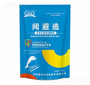 ���i�ëF�(l��i)�����(q��)�܄�-����-�������r(n��ng)