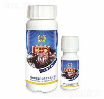 �R�㌣(zhu��n)���~���-��ǧ��-�������r(n��ng)