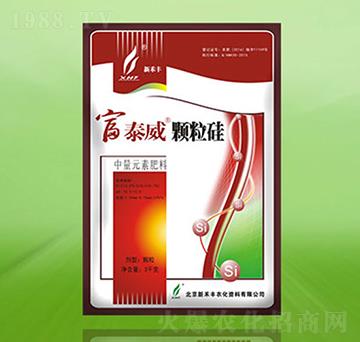 �w����-��̩��-�º��S