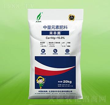 ����Ԫ�ط���-���S��-�º��S